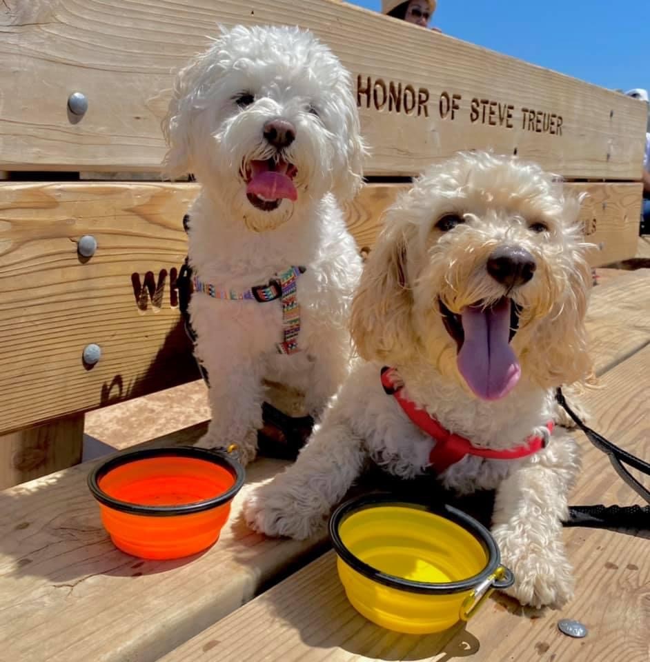 220208 pet ministry 1